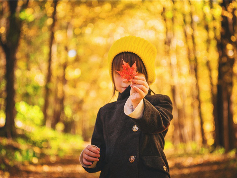 俏皮造句,俏皮怎么造句子(147句)