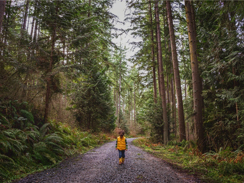 劳动造句,劳动怎么造句子(180句)