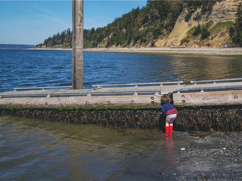 远游造句,用远游怎么造句子(67句)