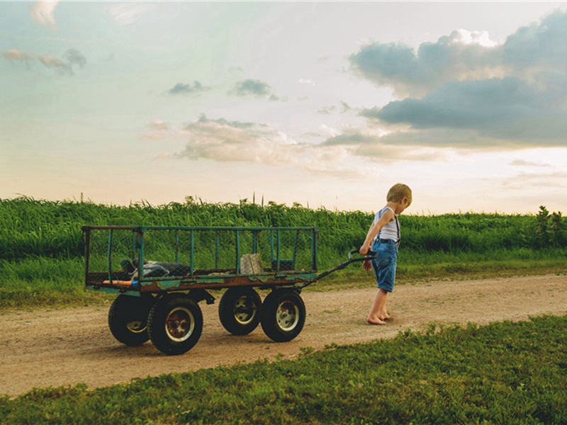 信服造句,用信服怎么造句子(177句)