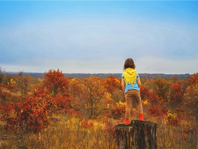 刺激造句,用刺激怎么造句子(165句)