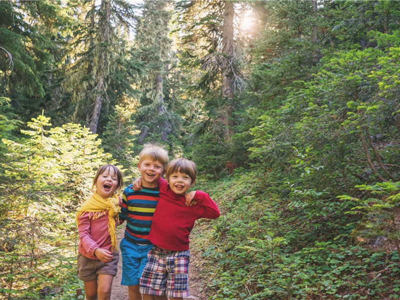 庄稼地造句,用庄稼地怎么造句子(29句)