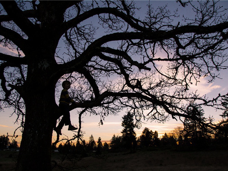 原本造句,原本怎么造句子(180句)