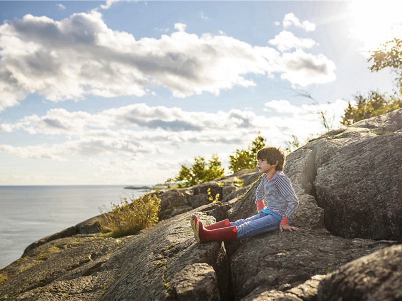 自用造句,用自用怎么造句子(180句)