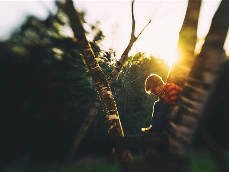 官僚造句,官僚怎么造句子(151句)