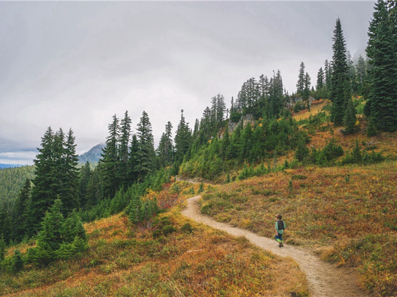 拎着造句,用拎着怎么造句子(170句)