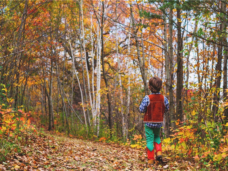 日久造句,用日久怎么造句子(180句)