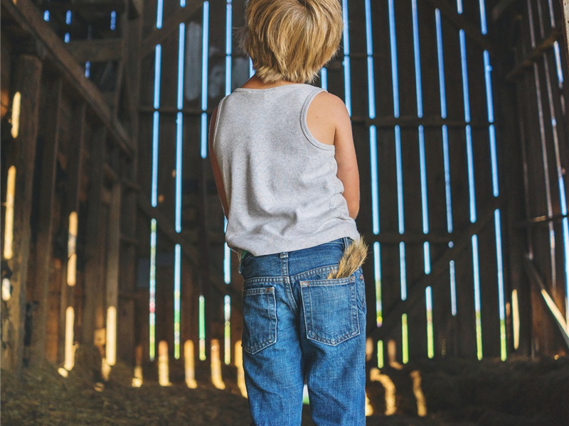 原因是造句,原因是怎么造句子(178句)