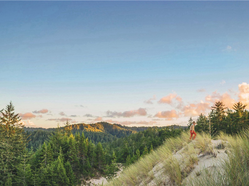 秋高气爽造句,秋高气爽怎么造句子(180句)