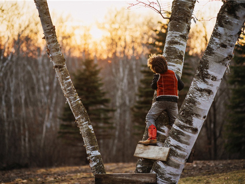 计发造句,用计发怎么造句子(68句)