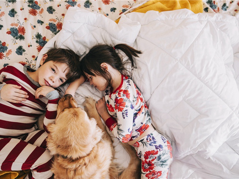 四条造句,用四条怎么造句子(180句)