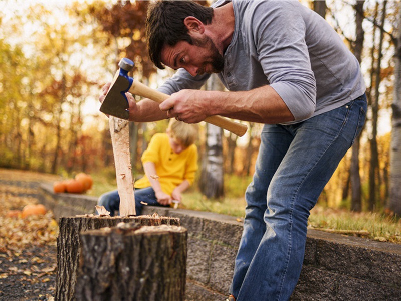 人才辈出造句,用人才辈出怎么造句子(60句)