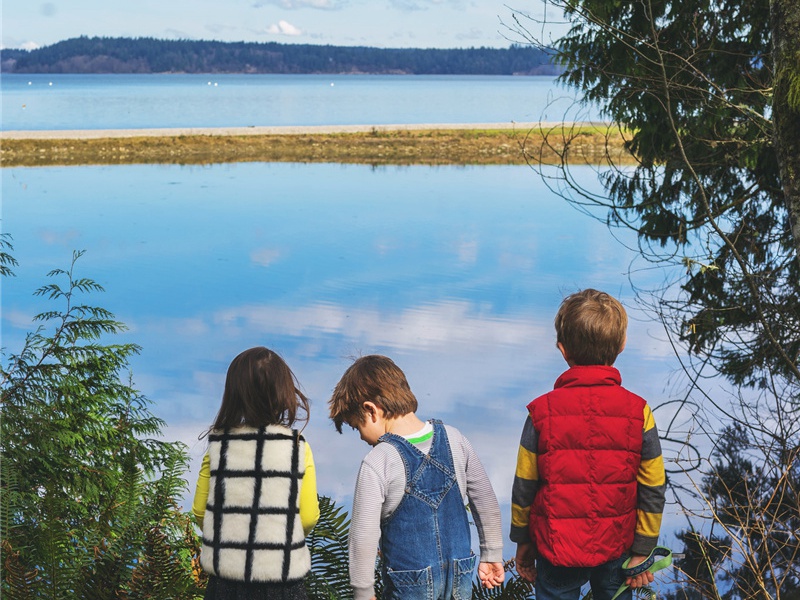 屋漏偏逢连夜雨造句,屋漏偏逢连夜雨怎么造句子(26句)