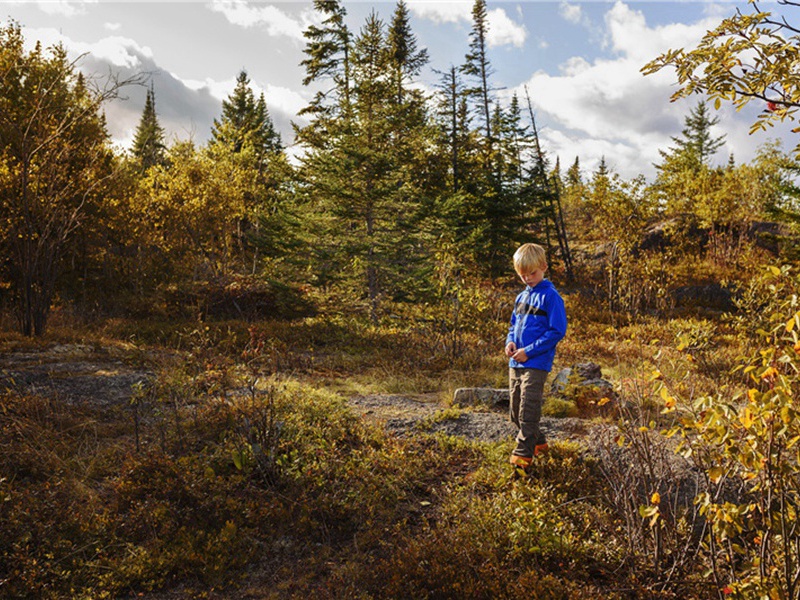 击剑造句,用击剑怎么造句子(66句)