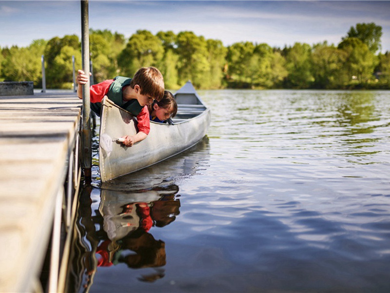 不再有造句,用不再有怎么造句子(180句)
