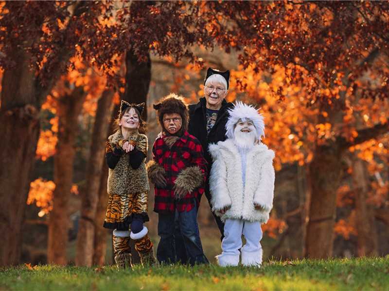 荧幕造句,用荧幕怎么造句子(64句)