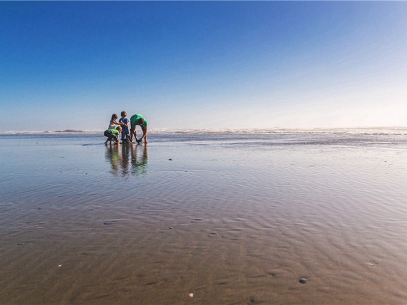 碾压造句,碾压怎么造句子(122句)