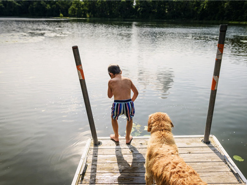 击剑造句,用击剑怎么造句子(66句)