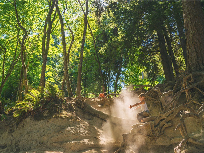 遮盖造句,遮盖怎么造句子(179句)