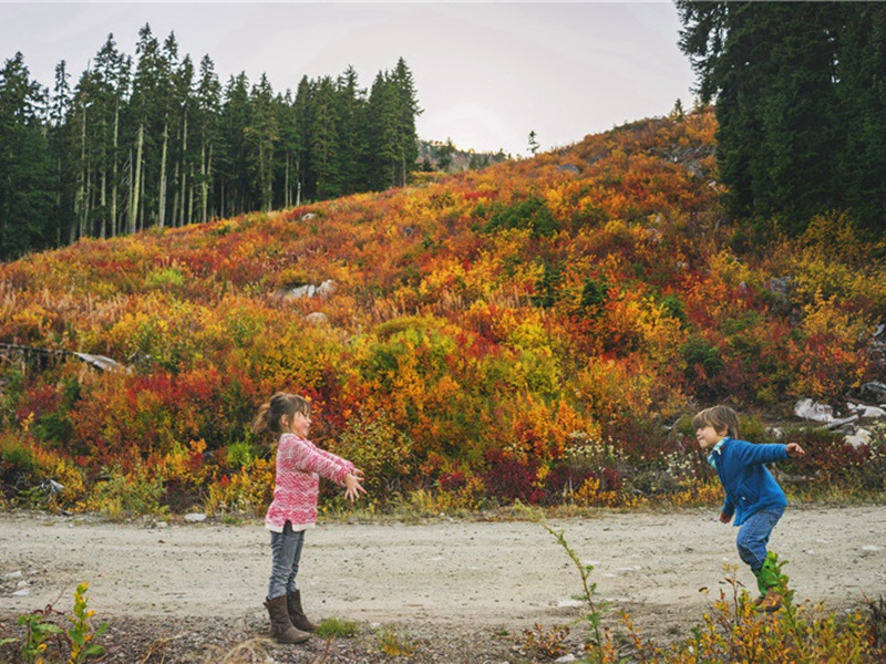 晶片造句,晶片怎么造句子(124句)