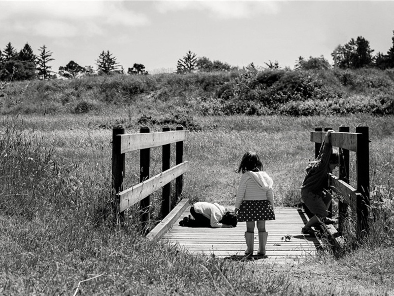 翅膀造句,翅膀怎么造句子(167句)