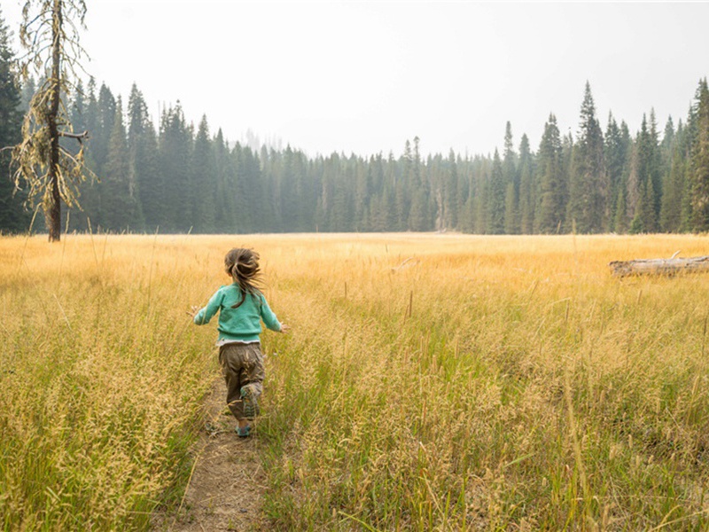 假以时日造句,用假以时日怎么造句子(37句)