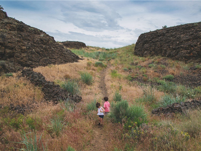 胜数造句,胜数怎么造句子(146句)