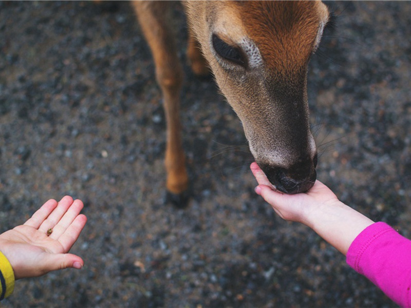 各门造句,用各门怎么造句子(72句)