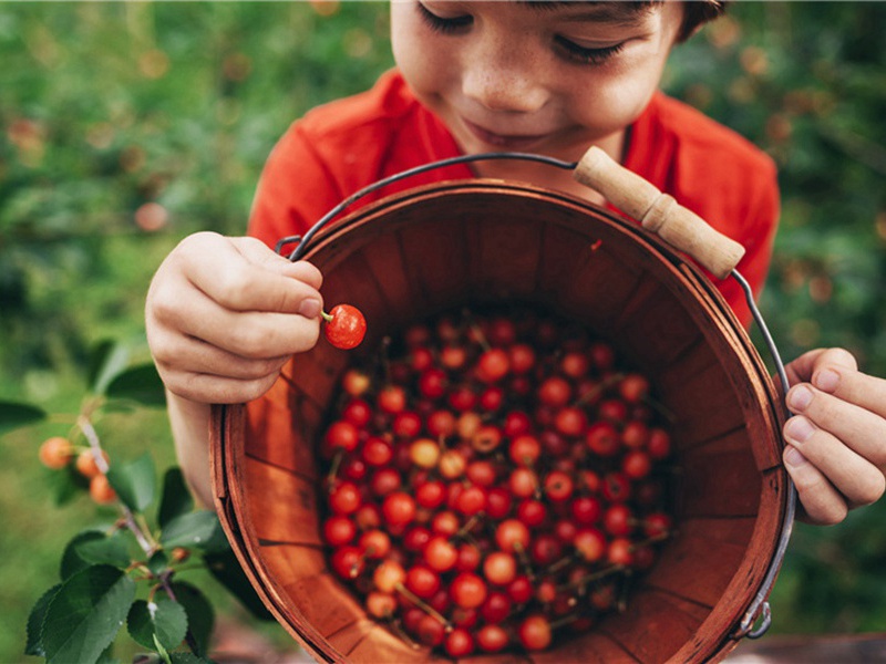 问题在于造句,问题在于怎么造句子(146句)