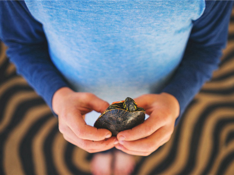 不语造句,不语怎么造句子(179句)