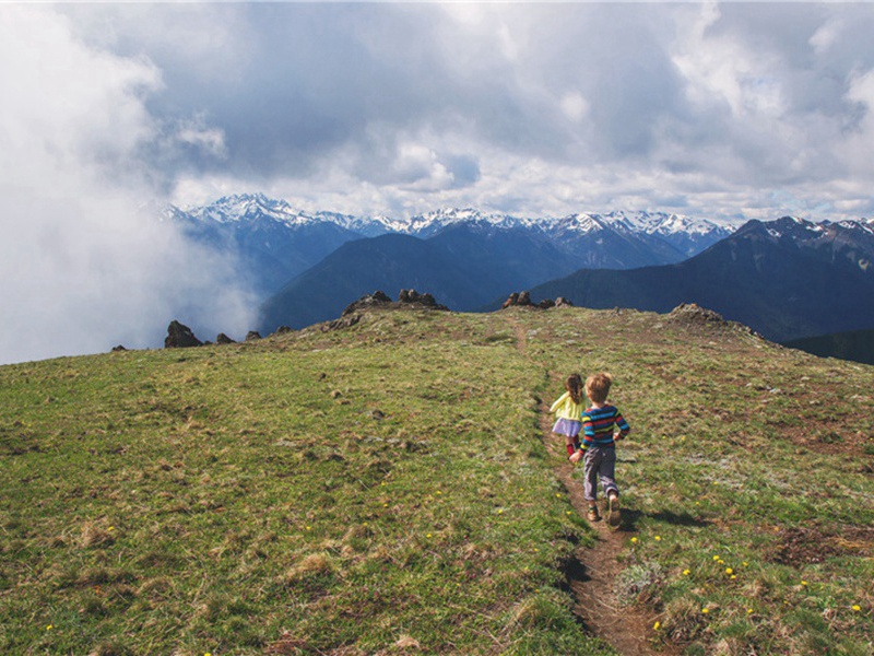 省内造句,用省内怎么造句子(180句)