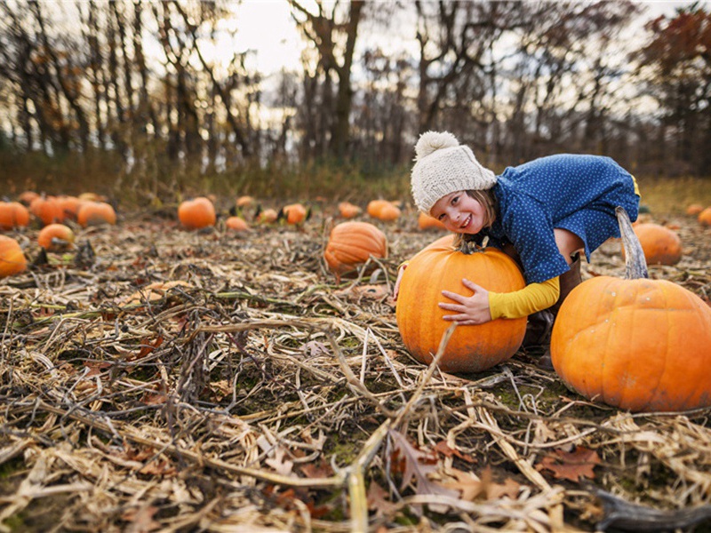 套餐造句,用套餐怎么造句子(177句)