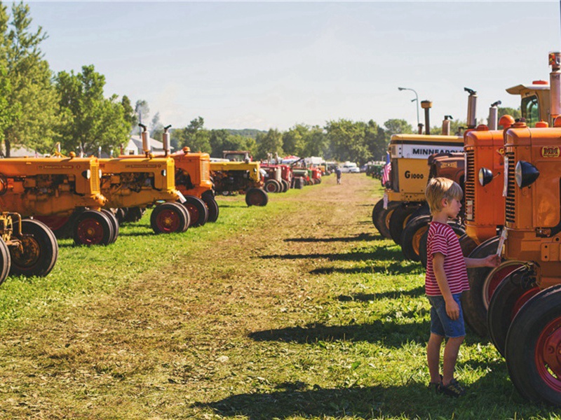 研究决定造句,用研究决定怎么造句子(40句)