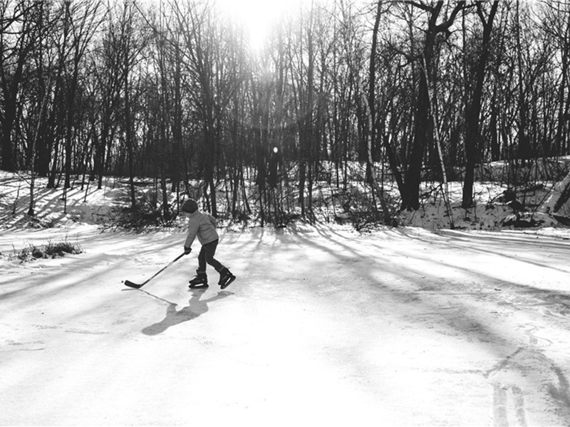 动物造句,动物怎么造句子(180句)