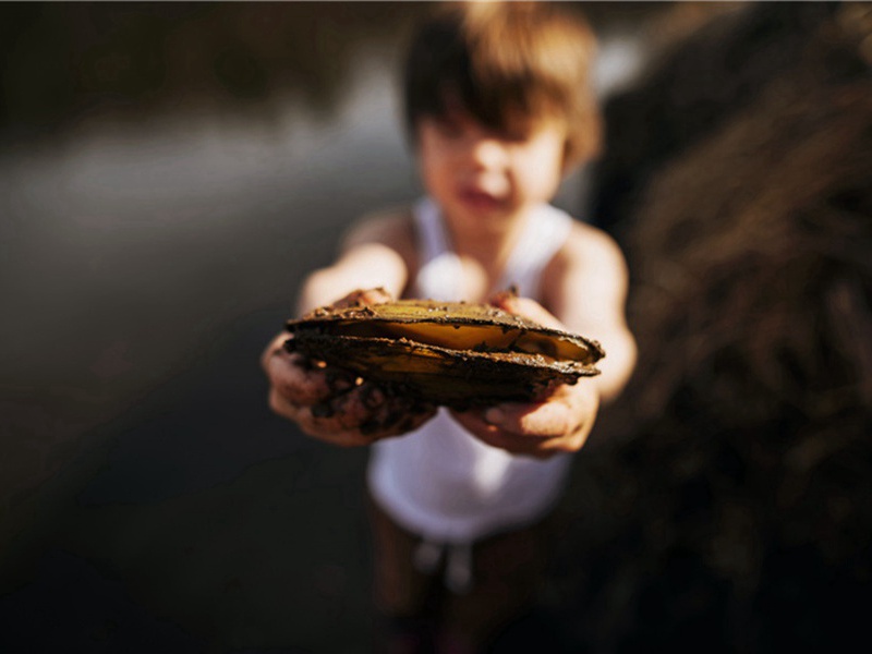 家庭暴力造句,用家庭暴力怎么造句子(47句)