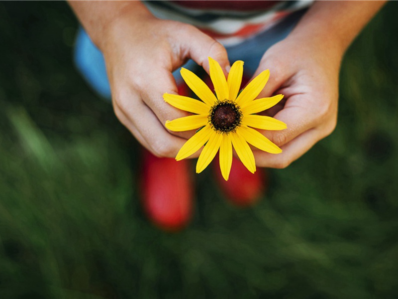 京津造句,用京津怎么造句子(138句)
