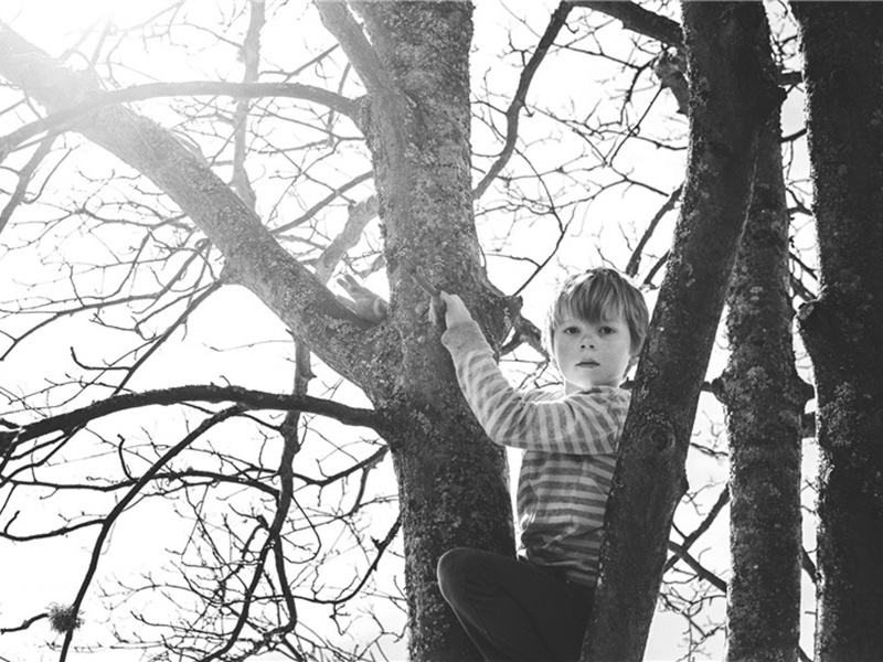 公墓造句,用公墓怎么造句子(137句)