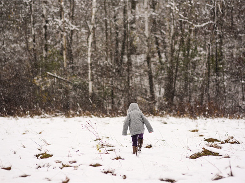 淡泊造句,淡泊怎么造句子(170句)