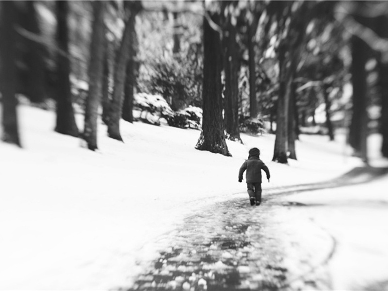 功夫造句,功夫怎么造句子(180句)