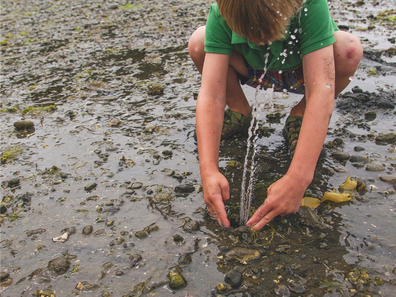 九幽造句,用九幽怎么造句子(80句)