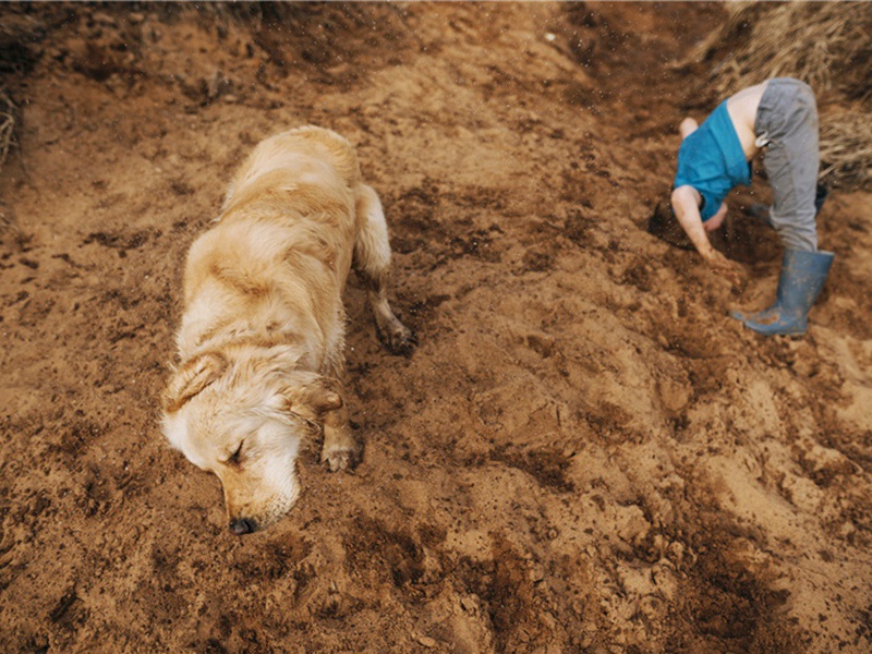 枝条造句,用枝条怎么造句子(180句)