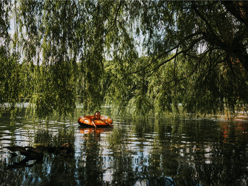 好似造句,好似怎么造句子(180句)