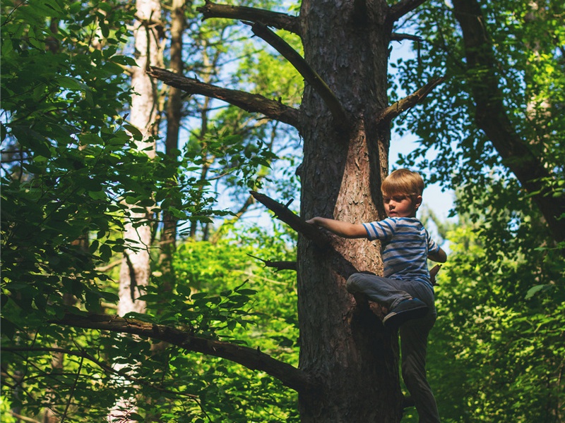 余元造句,用余元怎么造句子(160句)