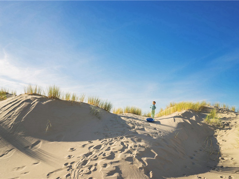 世界环境日造句,用世界环境日怎么造句子(90句)