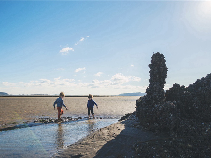 计策造句,用计策怎么造句子(102句)