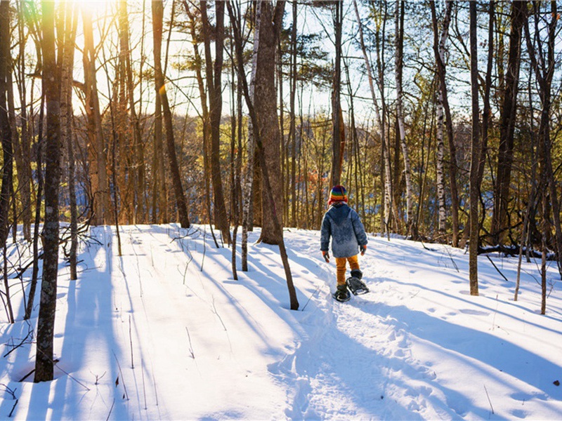 水准造句,水准怎么造句子(176句)