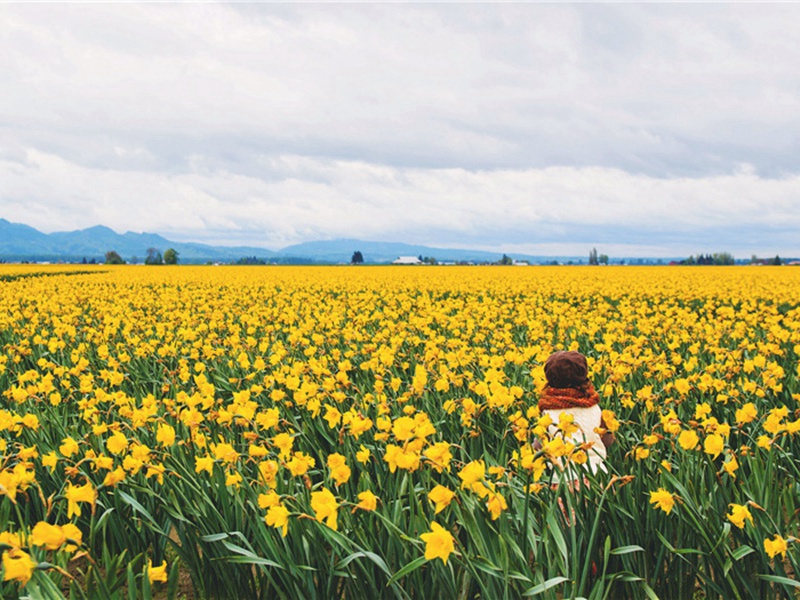 征服造句,征服怎么造句子(175句)