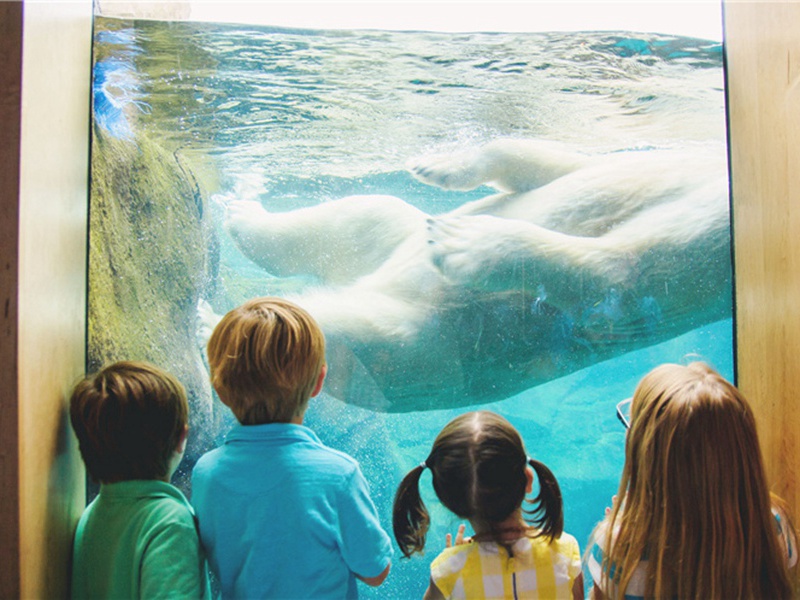 携着造句,携着怎么造句子(163句)