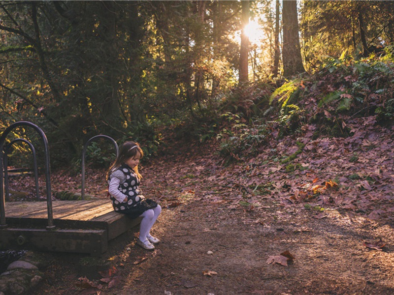 来龙去脉造句,来龙去脉怎么造句子(109句)