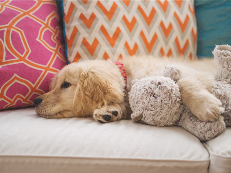 但是在造句,用但是在怎么造句子(180句)